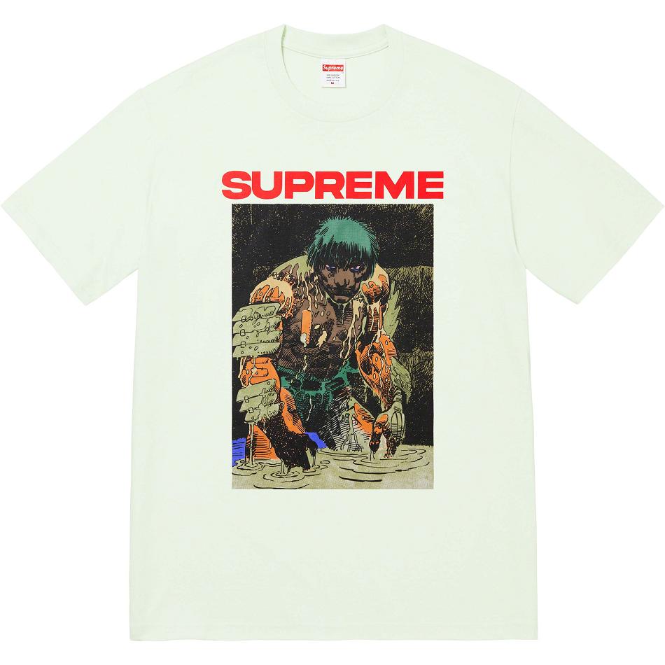 Supreme Ronin Tee T Shirts Mint | IL238KI