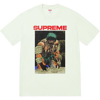 Supreme Ronin Tee T Shirts Mint | IL238KI